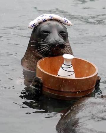 まったり居酒屋開店〜13店舗目