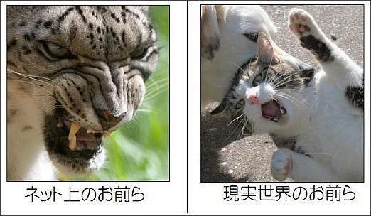 マイナスを気にせずに思ったことを書くトピ