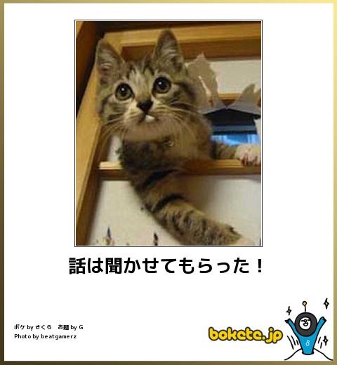 マイナスを気にせずに思ったことを書くトピ