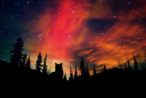 キレイな空の画像を貼るトピ