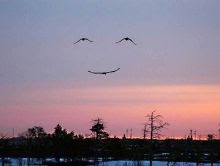 キレイな空の画像を貼るトピ