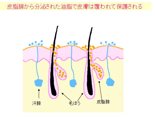 【低汗症・乏汗症】汗が出にくい方、情報交換しましょう!