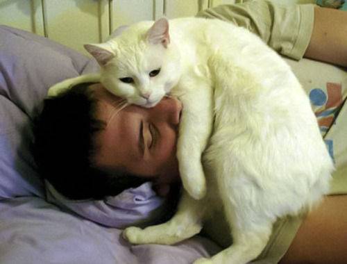 凄いところで寝てる猫の画像