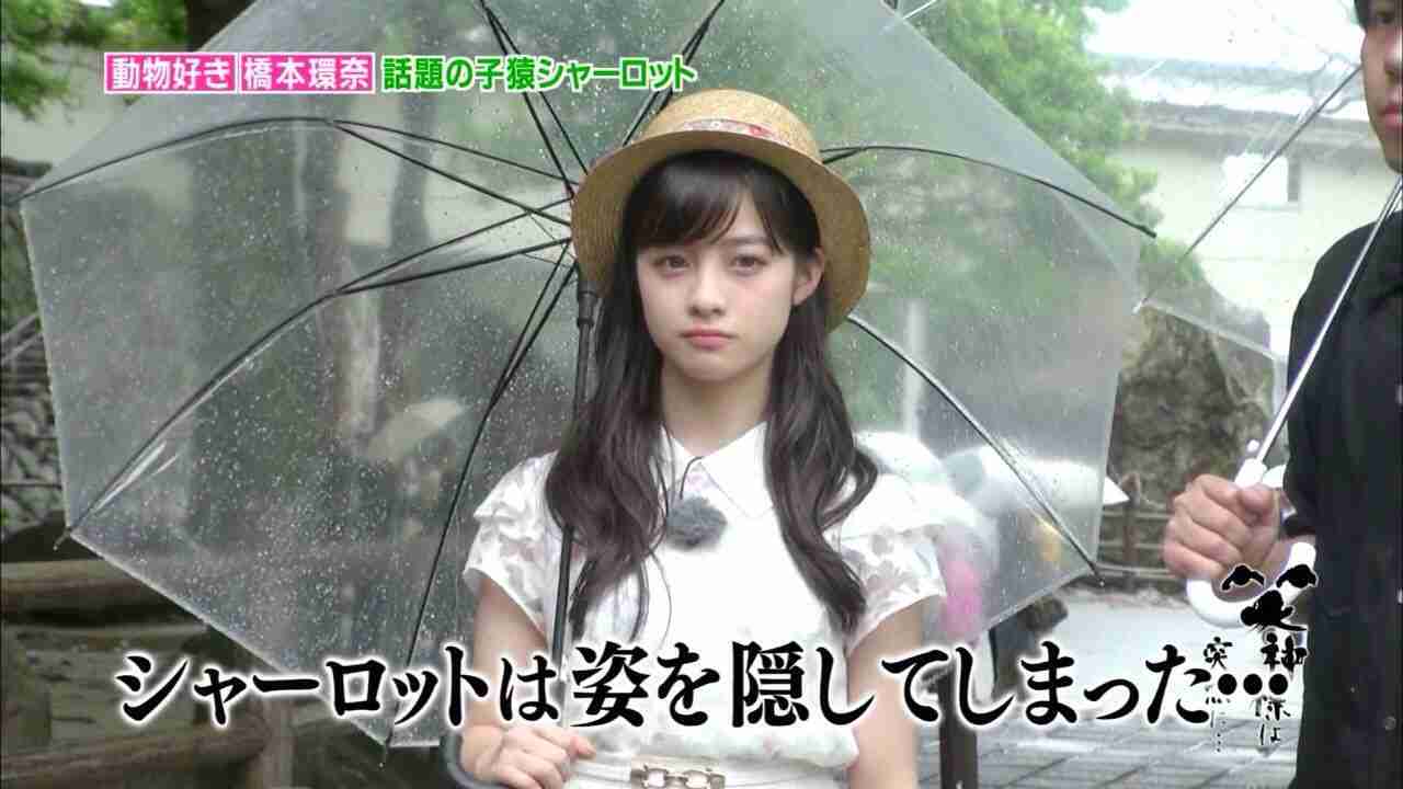 好きな芸能人のお気に入りの画像