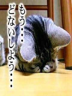 今ある不満や悩みをわざと反対に言おう！