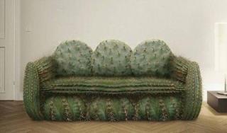 オススメの観葉植物