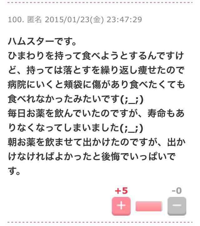 ペットが病気のとき仕事休みますか？
