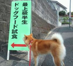 みんなでフレーズ書いて歌詞を作るトピ