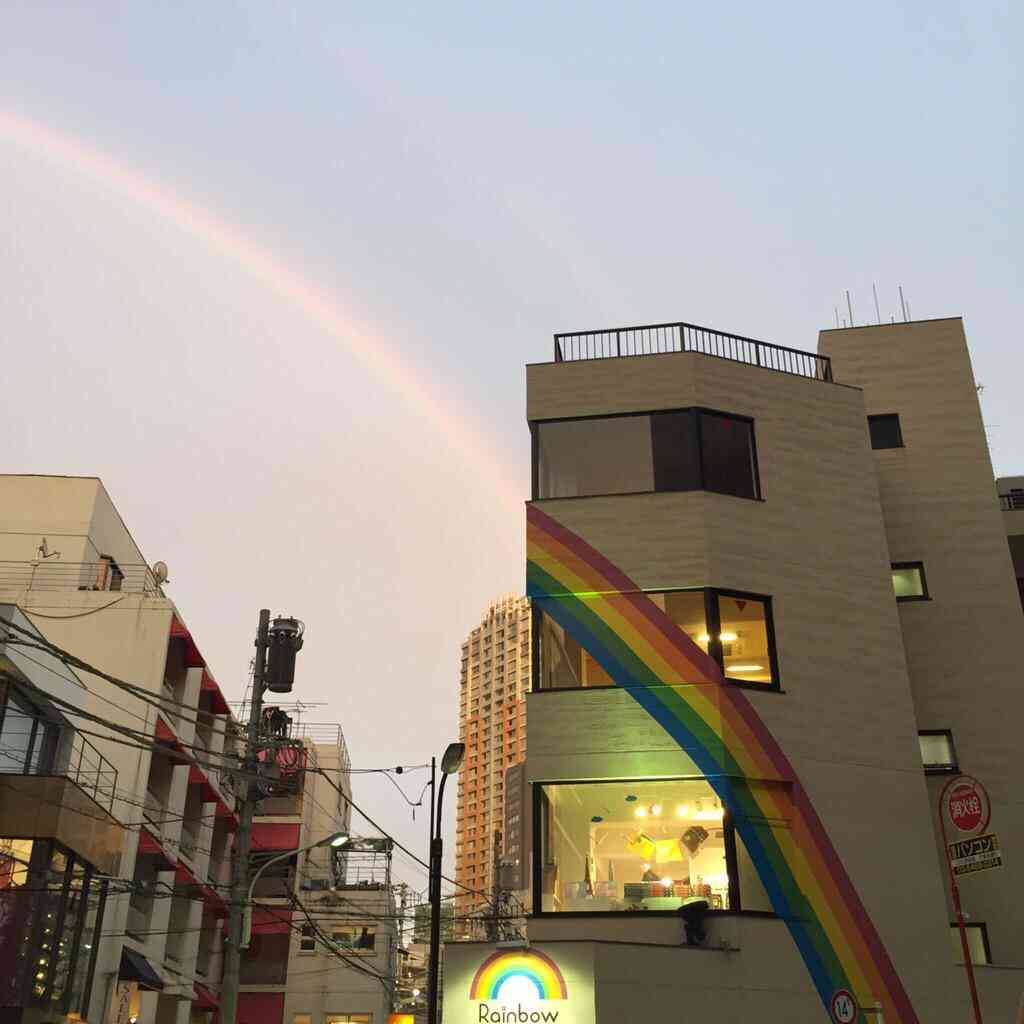 美しい虹の画像