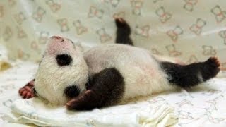 おしゃべりしたい人が立ち寄るトピ
