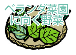 ベランダでの家庭菜園