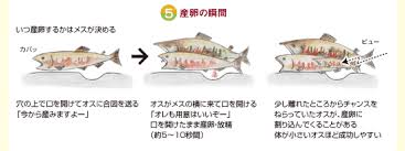 夫の精子で出来た子が夫の子でなかったという珍事が米国で発生