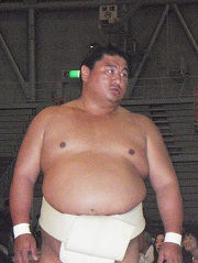大相撲好きな人語りませんか