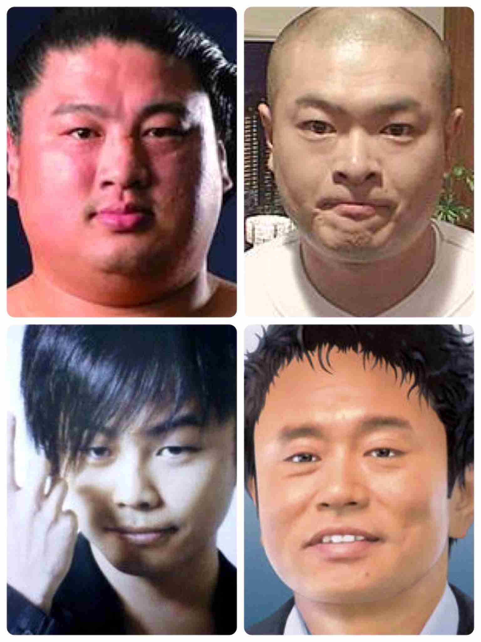 大相撲好きな人語りませんか