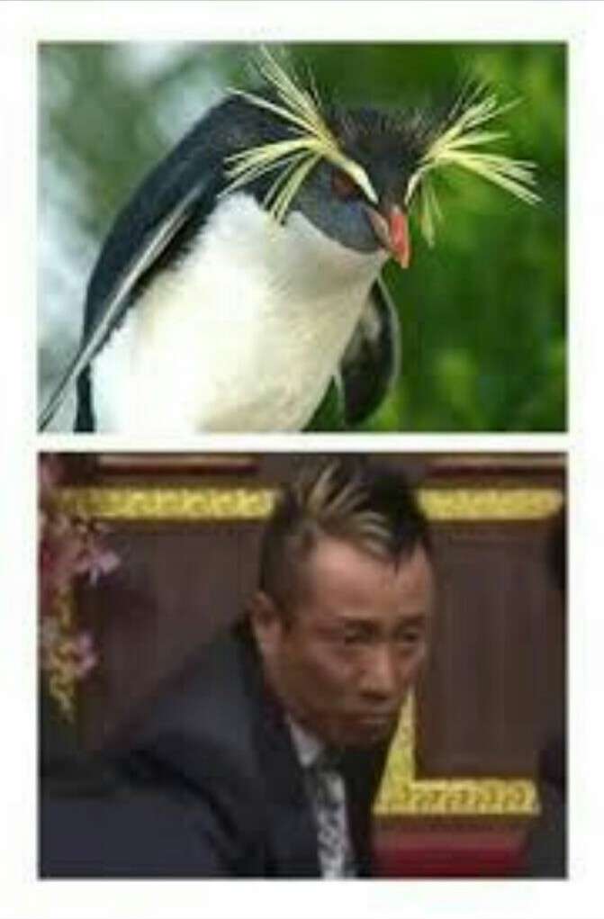 この人、動物っぽいなって人