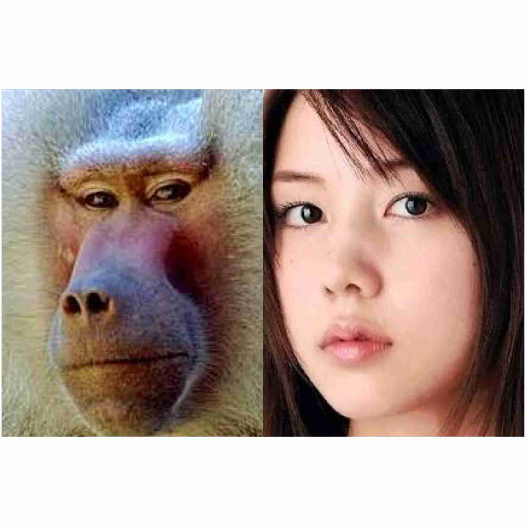 この人、動物っぽいなって人