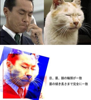 この人、動物っぽいなって人