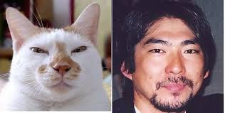 この人、動物っぽいなって人