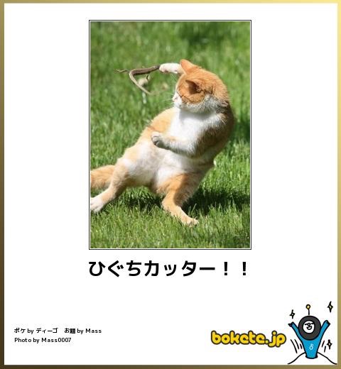 他のトピに疲れたら休憩するトピPart2