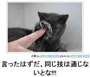 他のトピに疲れたら休憩するトピPart2