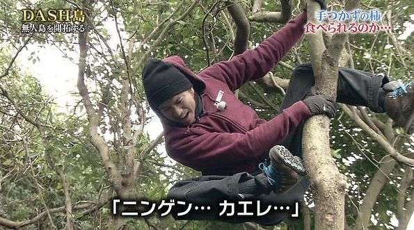 「ザ！鉄腕！DASH！！」あるある