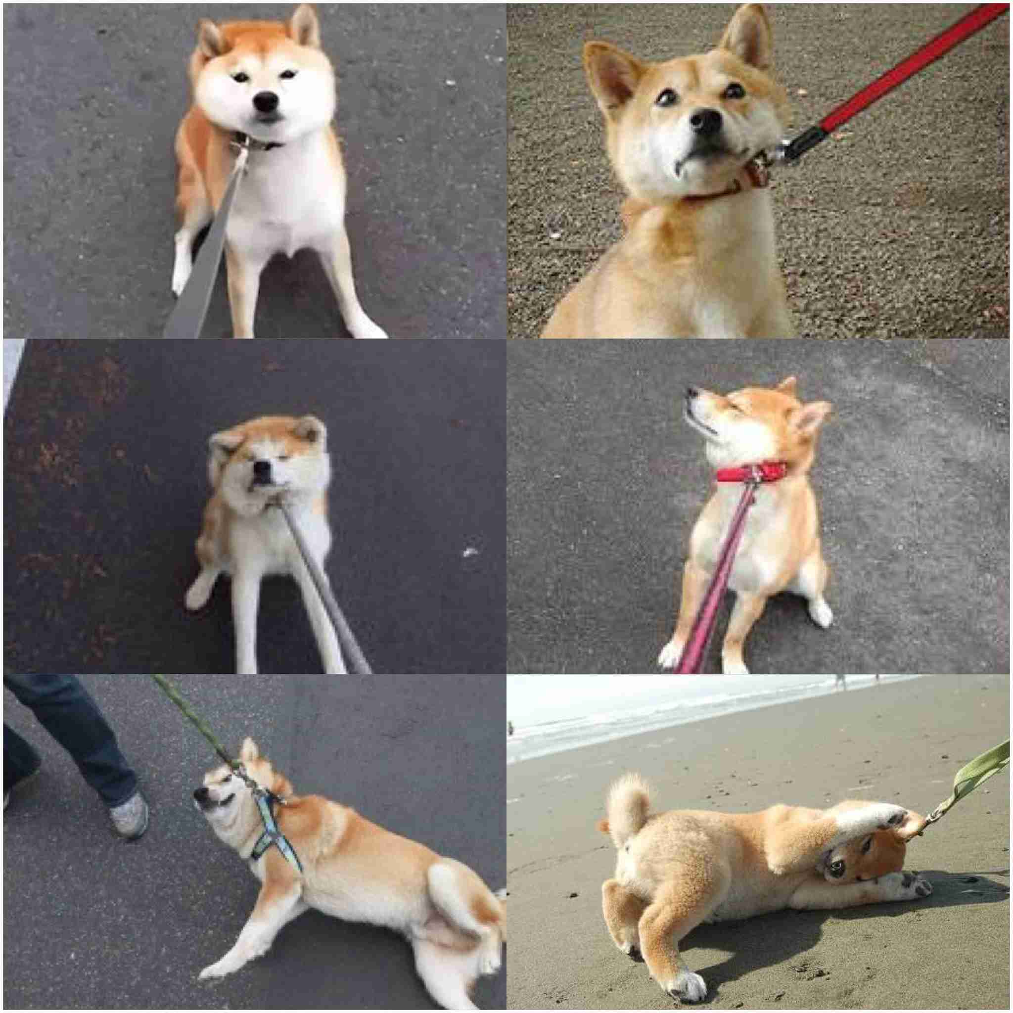 明日が月曜であることを憂うトピ