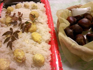 高卒ではダメですか？
