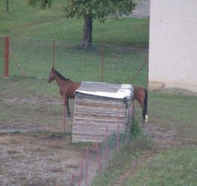 画像に適当な文を付けてみるトピ