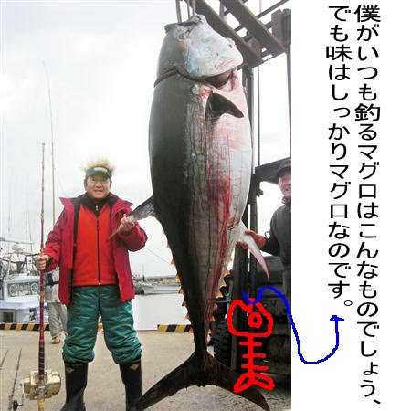 画像に適当な文を付けてみるトピ