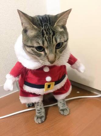 サンタクロースが絶対言わなそうな言葉