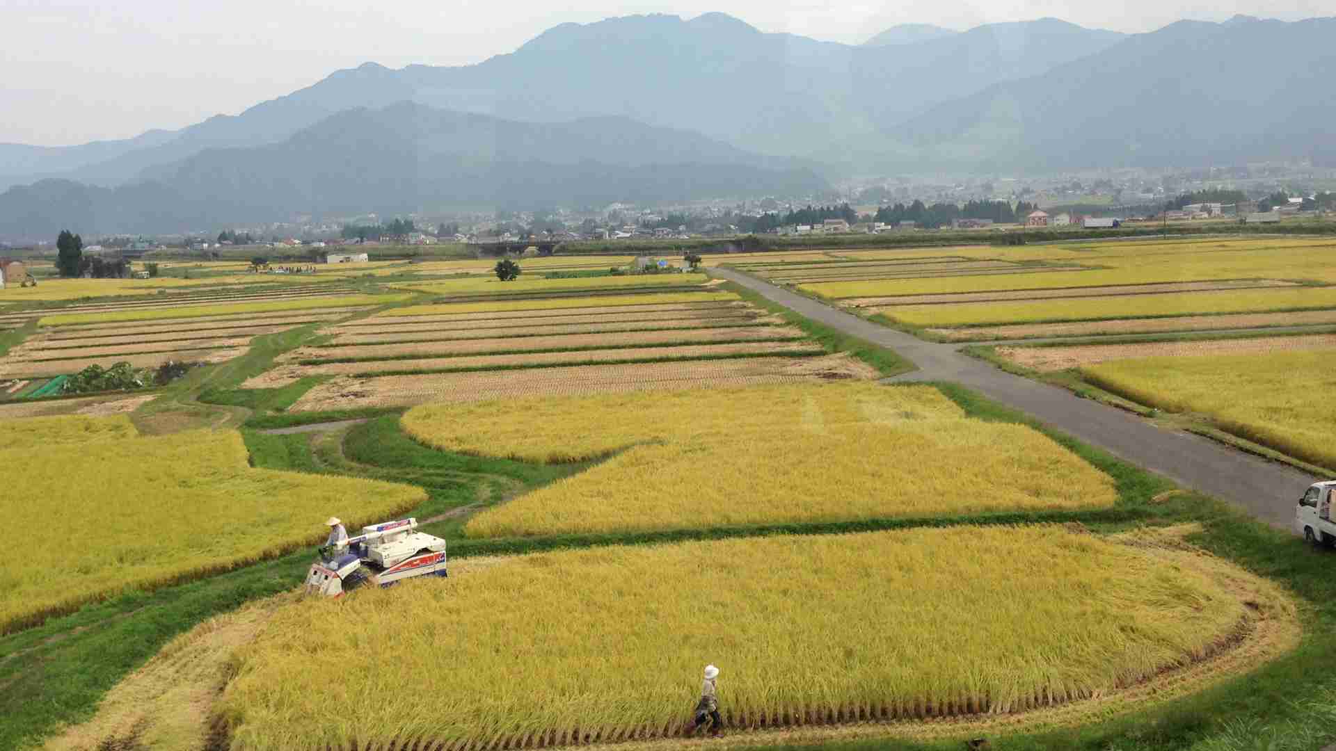 新潟県あるある
