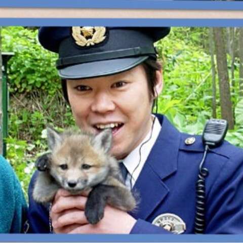 この人のこの役が好きだ