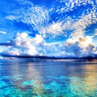 綺麗な海中の写真が集まるトピ