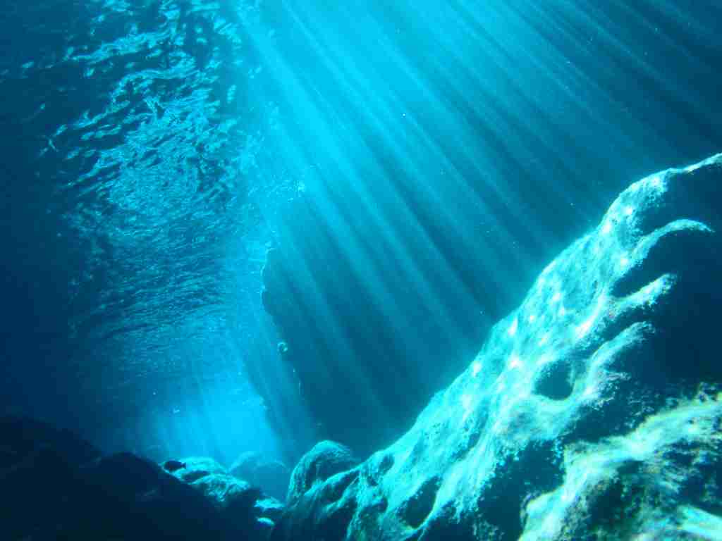 綺麗な海中の写真が集まるトピ