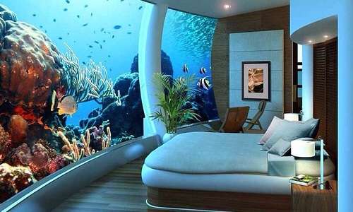 綺麗な海中の写真が集まるトピ