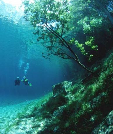 綺麗な海中の写真が集まるトピ