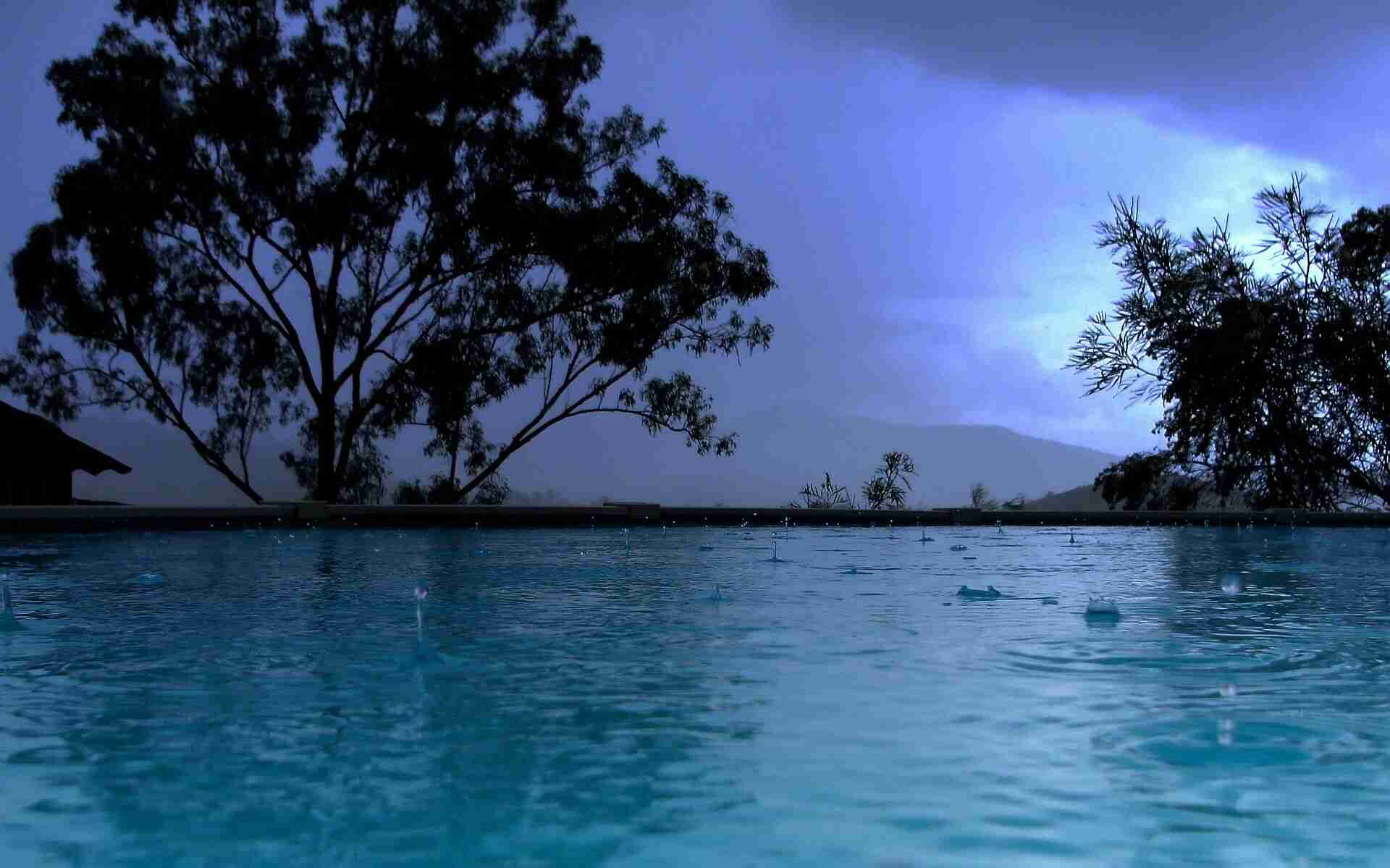 雨の休日の過ごし方