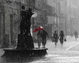 雨の休日の過ごし方