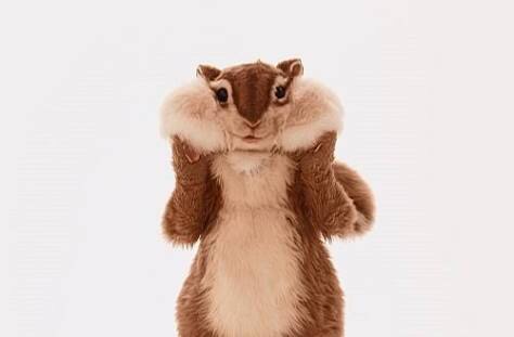 【実況・感想】『世にも奇妙な物語 25周年記念！秋の2週連続SP～映画監督 編～』