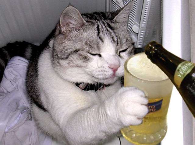 酔っ払い口調で話すトピ