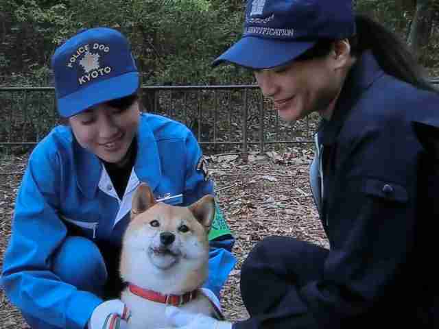 柴犬だってお掃除ロボットに乗れるしターンも決めるし退場もする。
