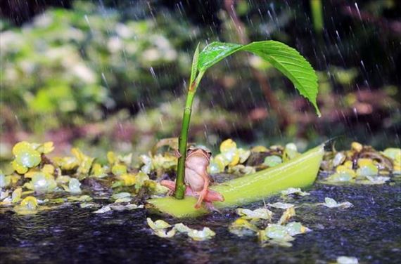 雨の日が憂鬱な方いますか？