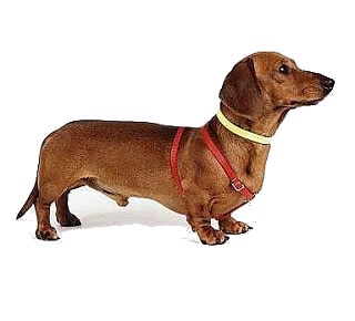 スタイル悪い人!