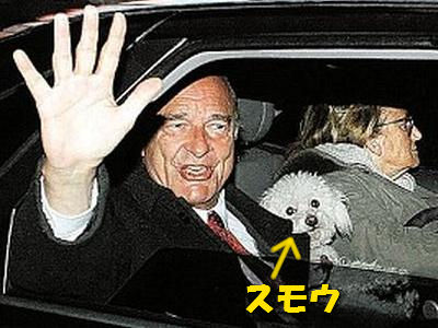 大相撲九州場所を応援しよう！