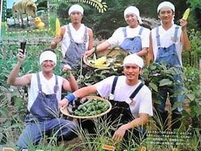 この芸能人にこの仕事は適任