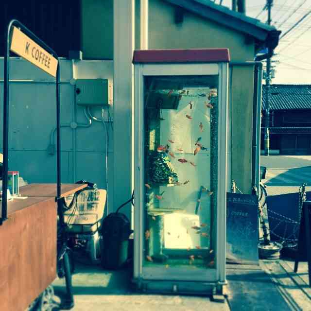奈良あるある