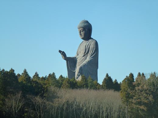 奈良あるある