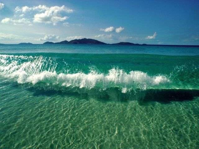 心が洗われる画像を貼るトピ