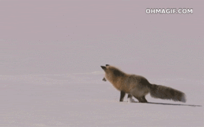 子供の頃の奇行