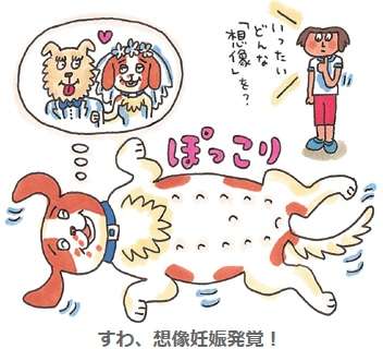 ペットを去勢した方結果的には良かったですか？